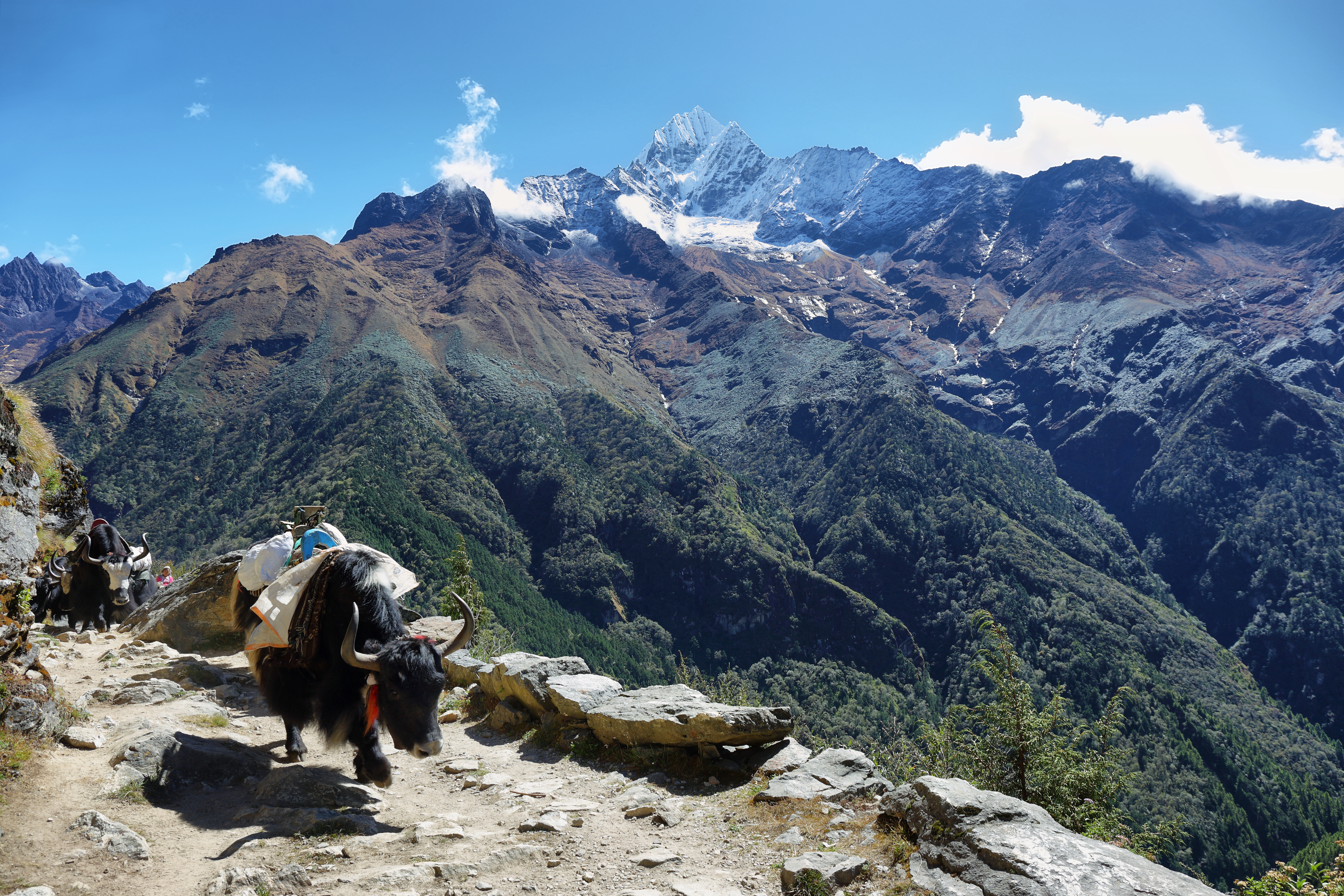 Mardi Himal Ridge