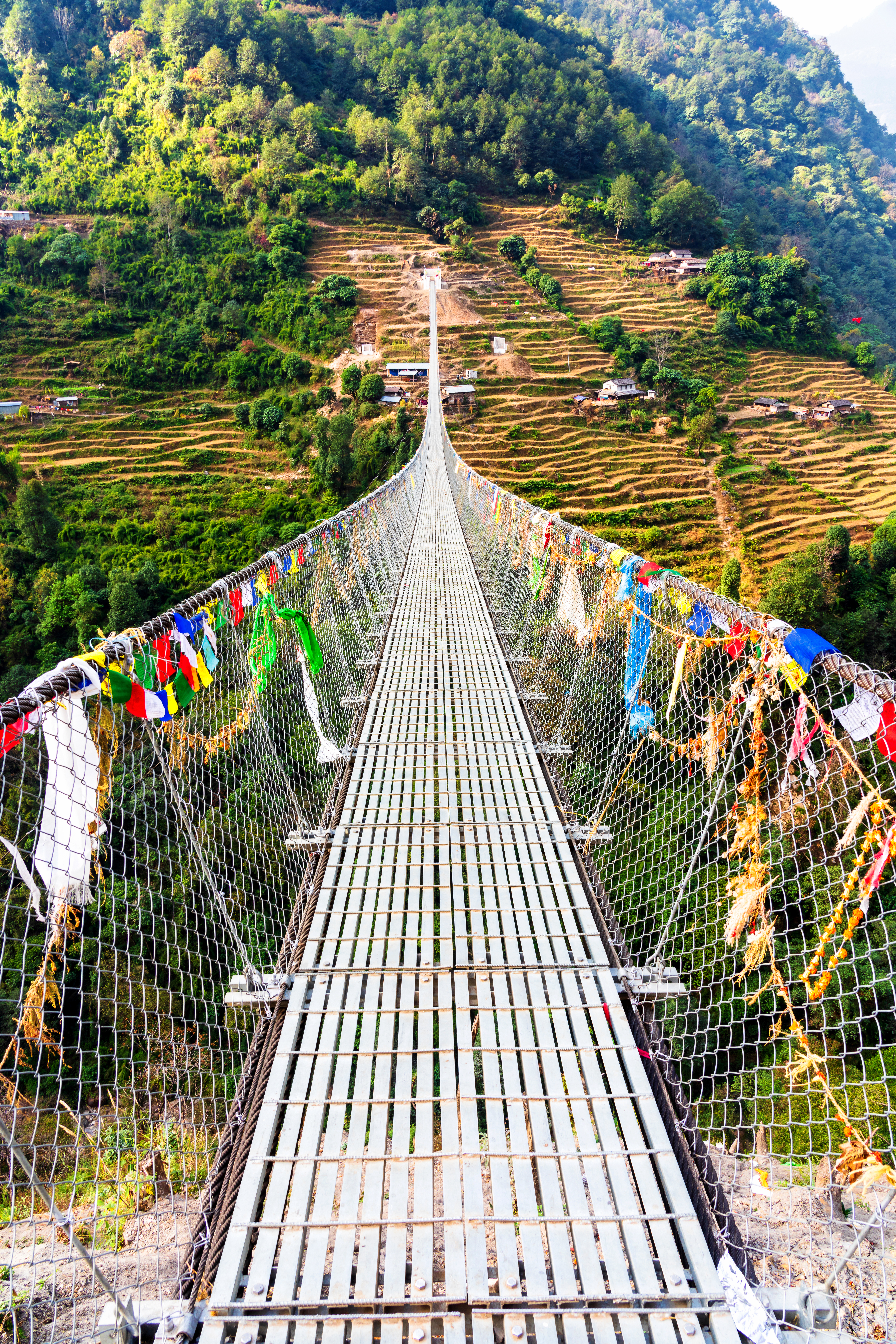 Trail Suspension Bridge